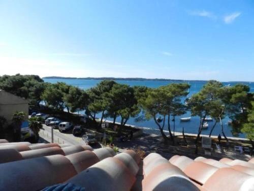 Apartments Radomir Fažana Dış mekan fotoğraf